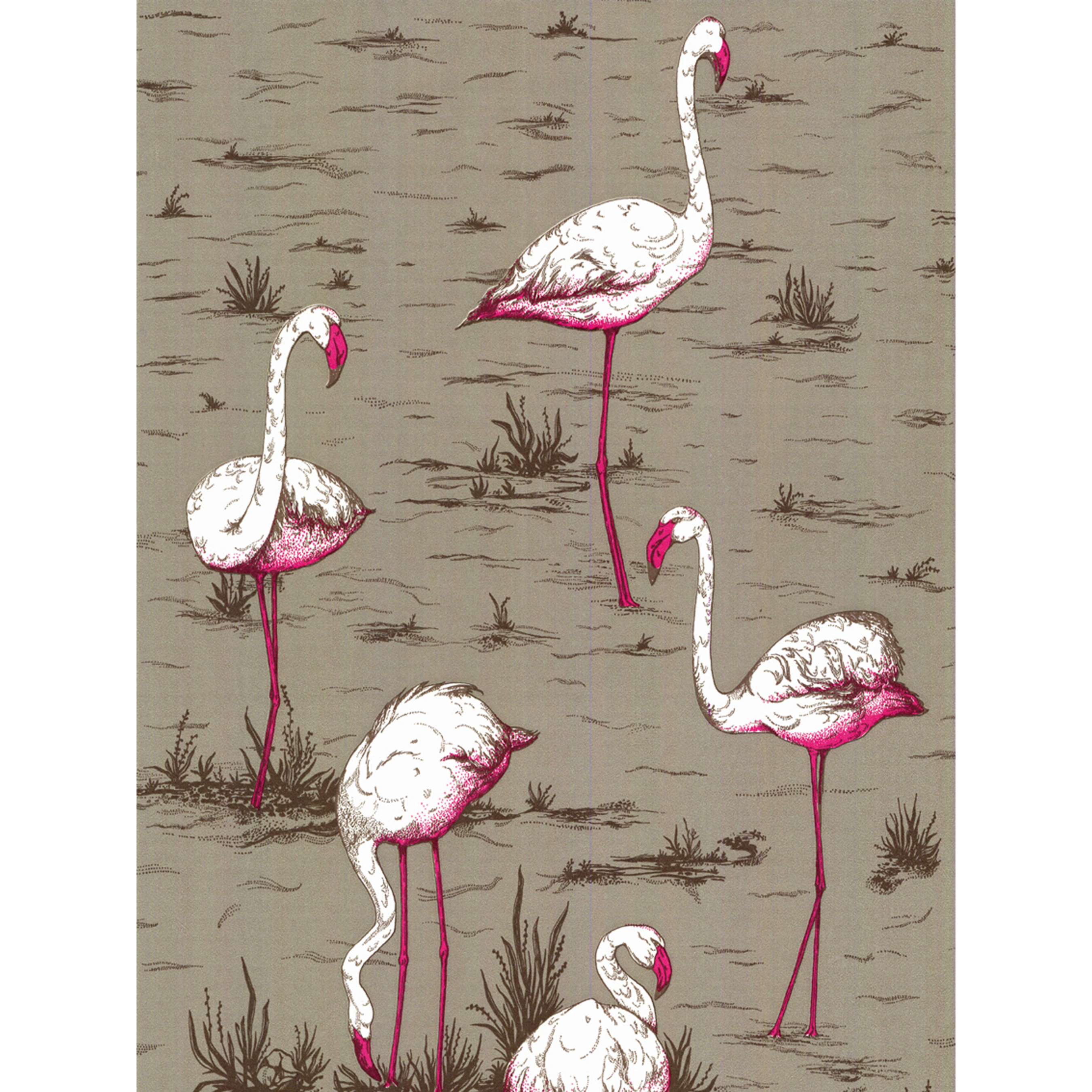 Cole And Son Flamingos Wallpaper Grey Jpg