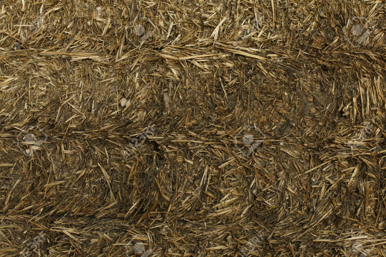 Hay Bale Background Stock Photo Picture And Royalty Image