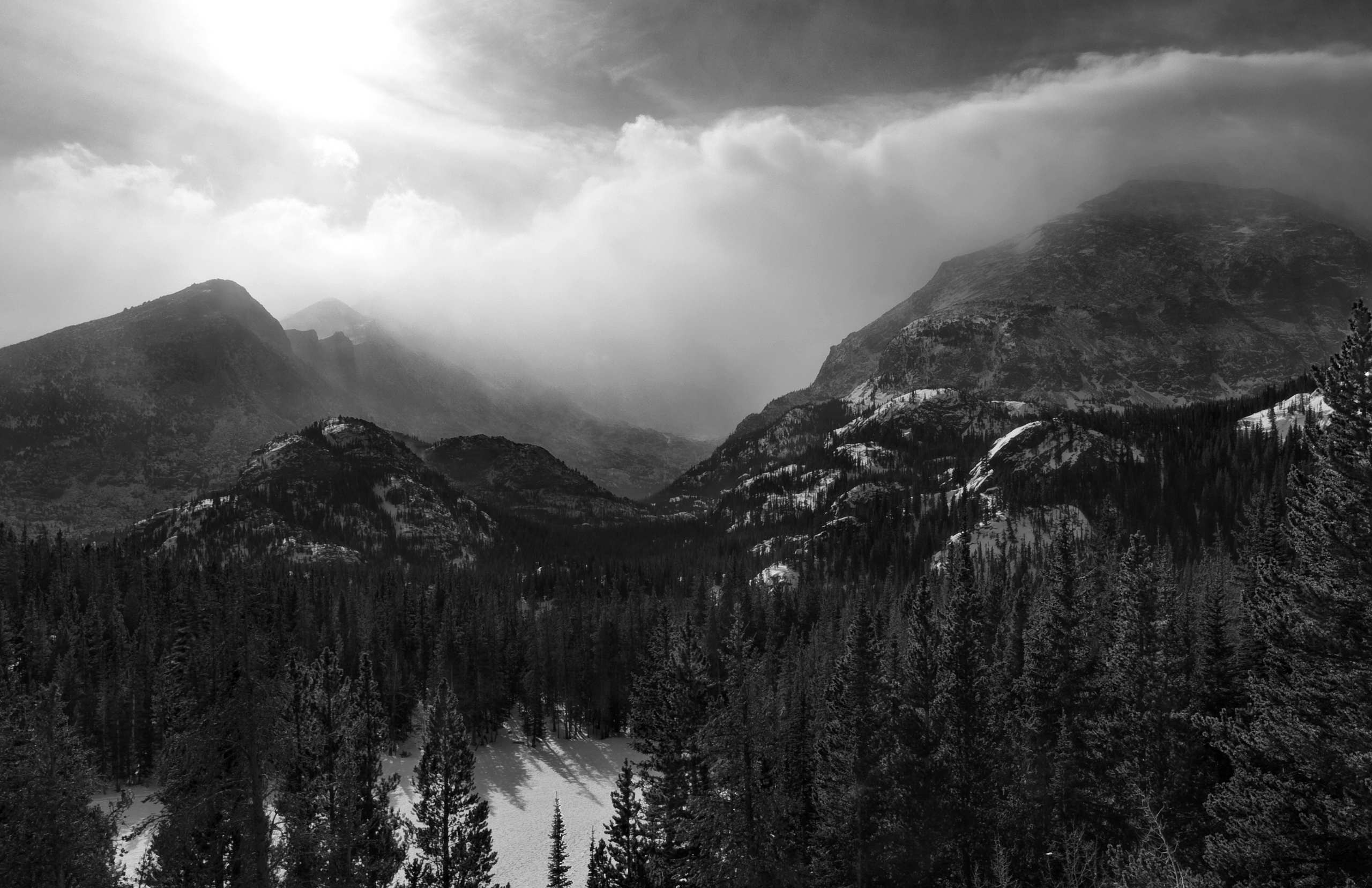 Black And White Mountains Woods Wallpaper