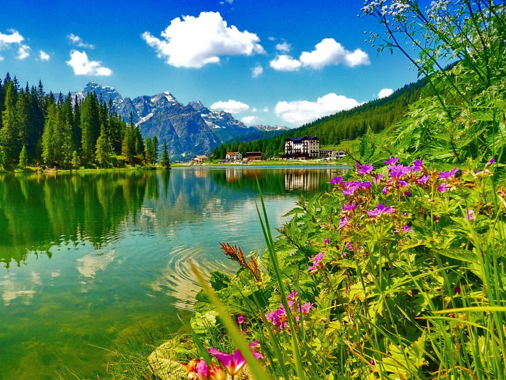 Background Picture Lake And River Wallpaper