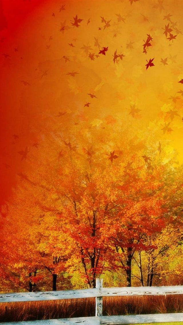 Autumn Maple Background For iPhone HD