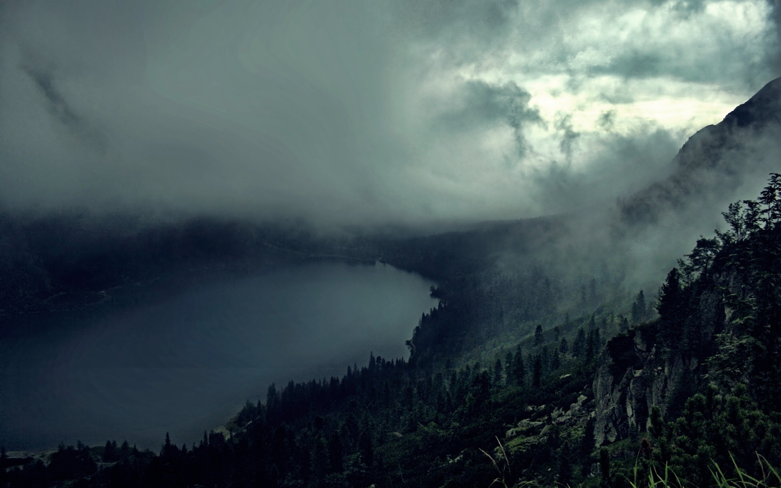 Free Download Dark Forest River Fog Wallpapers Hilly Dark Forest River Fog [2560x1600] For Your