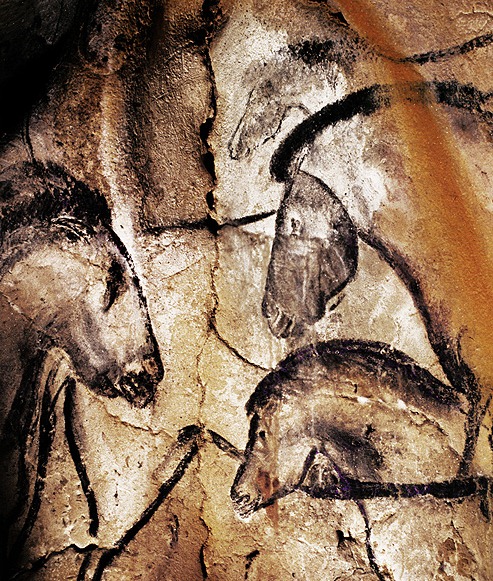 Chauvet Cave Horse Wall Mural Via Bradshaw Foundation