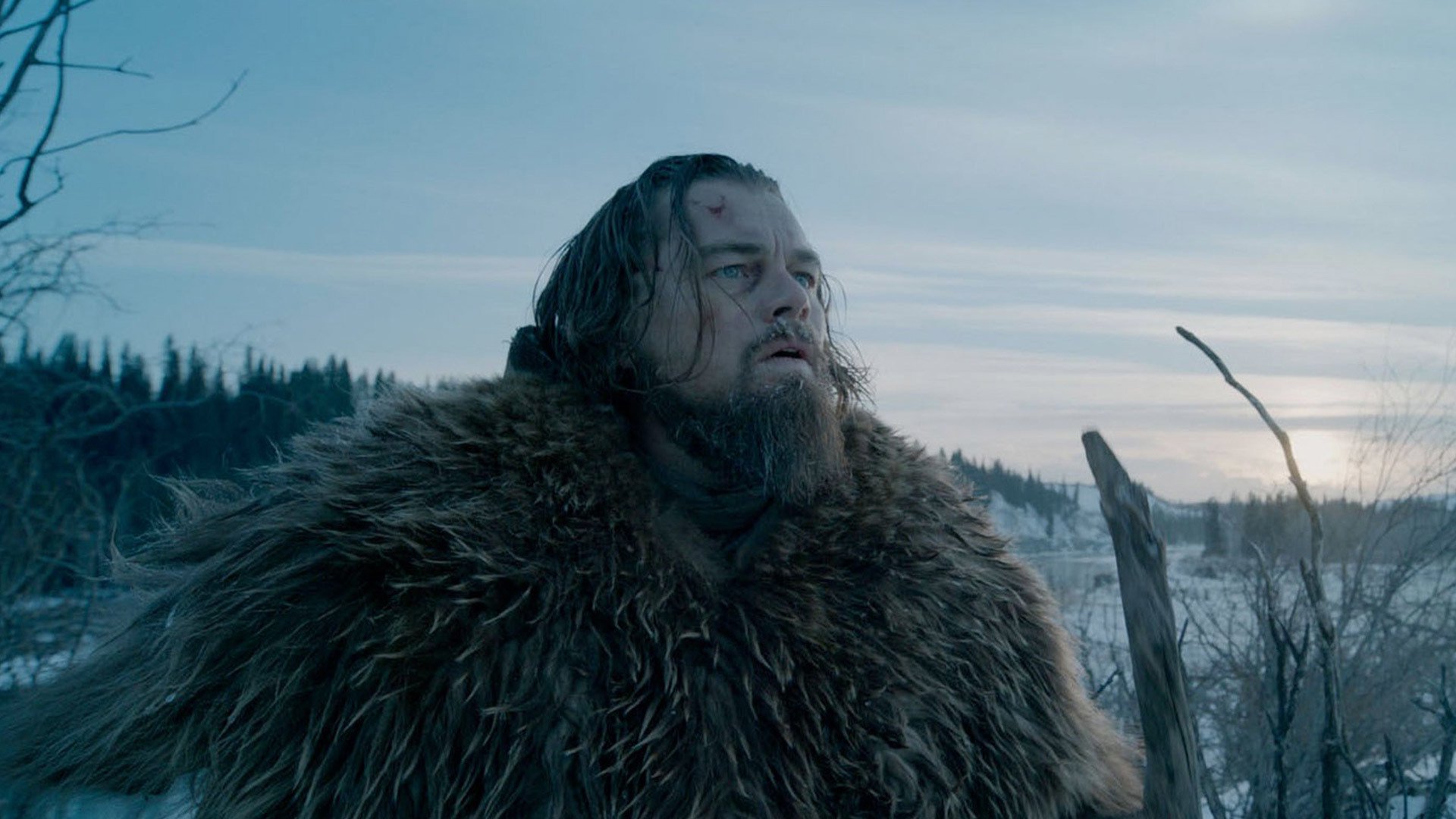 The Revenant HD Wallpaper Background Image Id