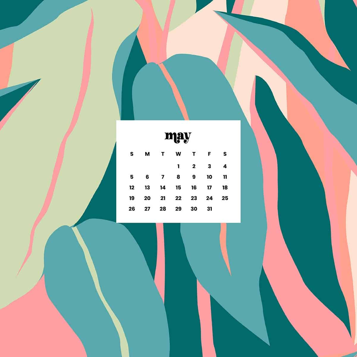 Aesthetic May 2024 calendar wallpaper with a tropical leaf background in teal, pink, and cream