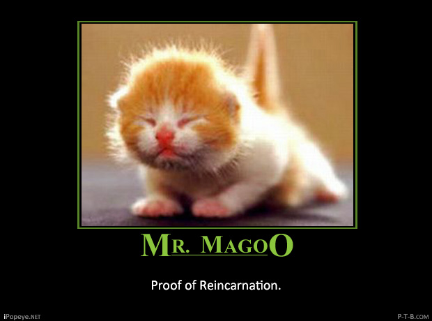 Mr Magoo By Popeyetheob