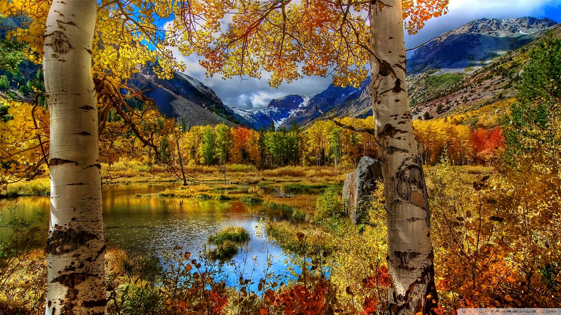 Perfect Autumn Scenery Wallpaper