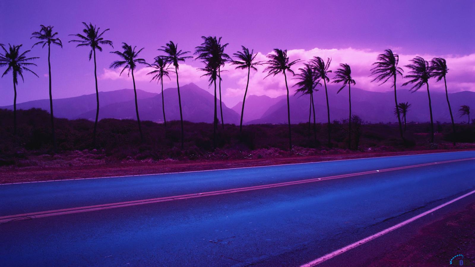 Còn gì tuyệt hơn khi được ngắm nhìn một màn trời tím đầy bí ẩn? Purple sky là lựa chọn hoàn hảo, hứa hẹn đem đến niềm thoả mãn cho tâm hồn. 