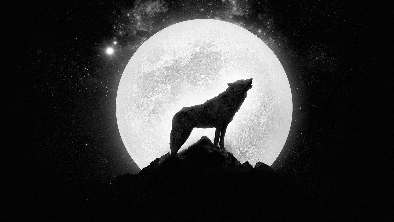 Wolf howling at the full moon wallpaper 18032