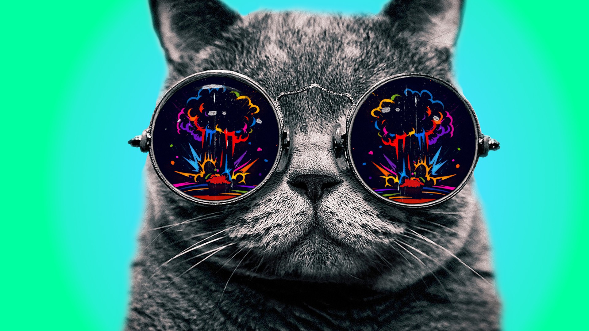 Cat With Cool Glasses HD Wallpaper