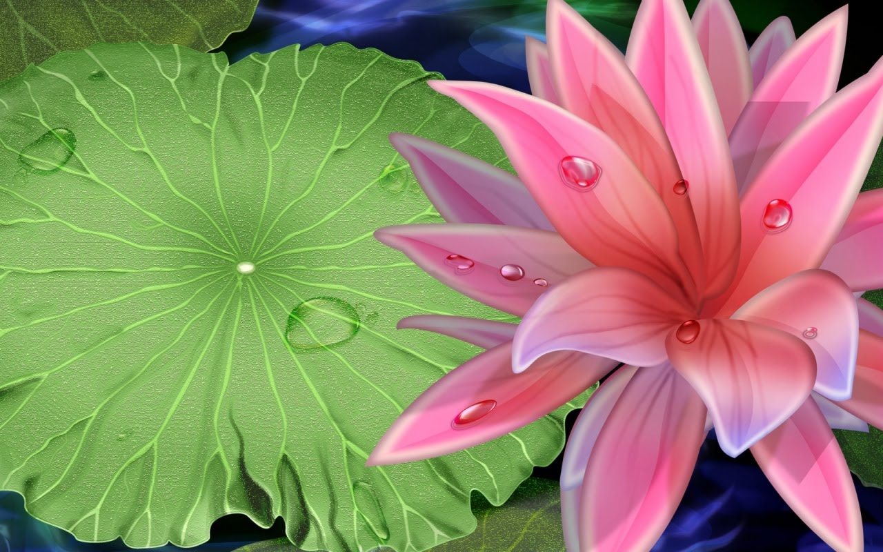 Wallpaper Best Lotus Flower