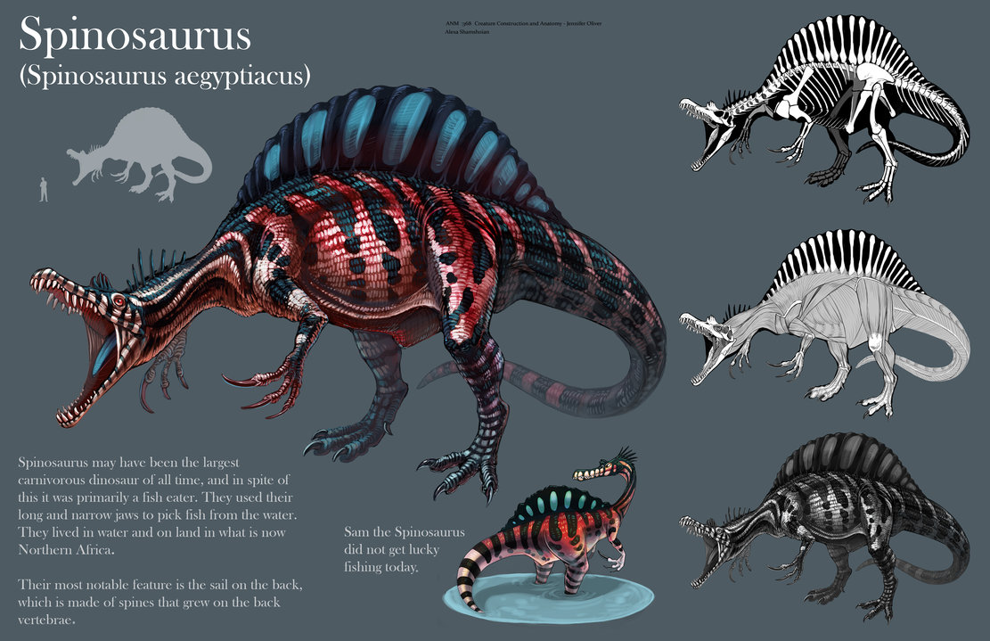 Spinosaurus Sheet By Tikall