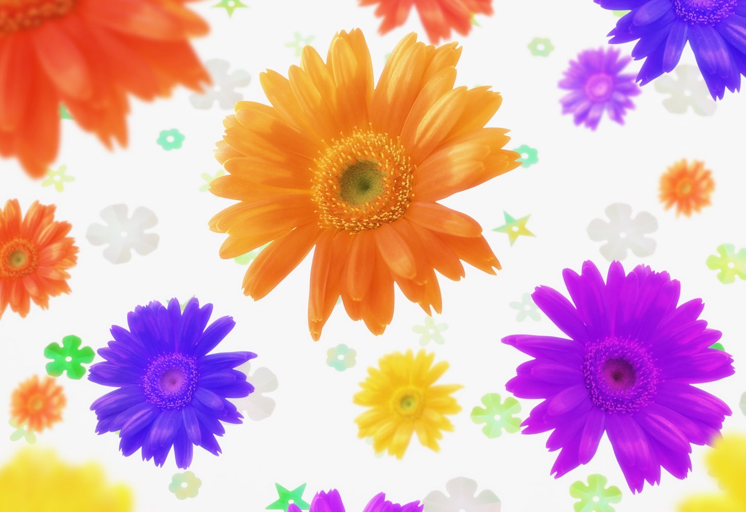 Colorful Flower Background Related Keywords Amp Suggestions