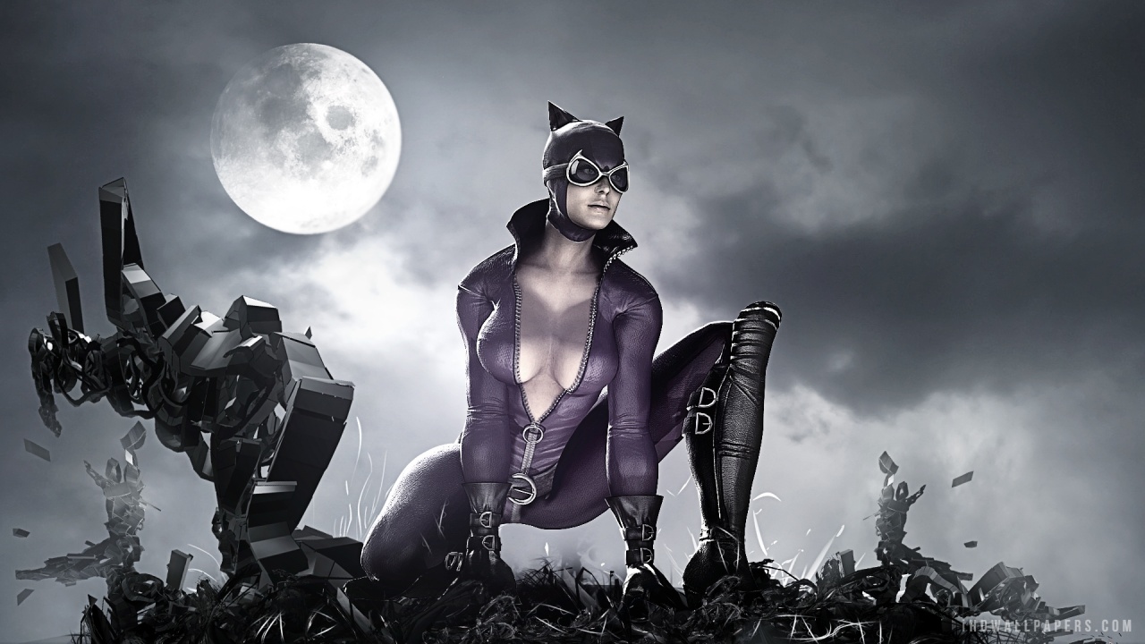 Catwoman in Batman Arkham City HD Wallpaper iHD Wallpapers
