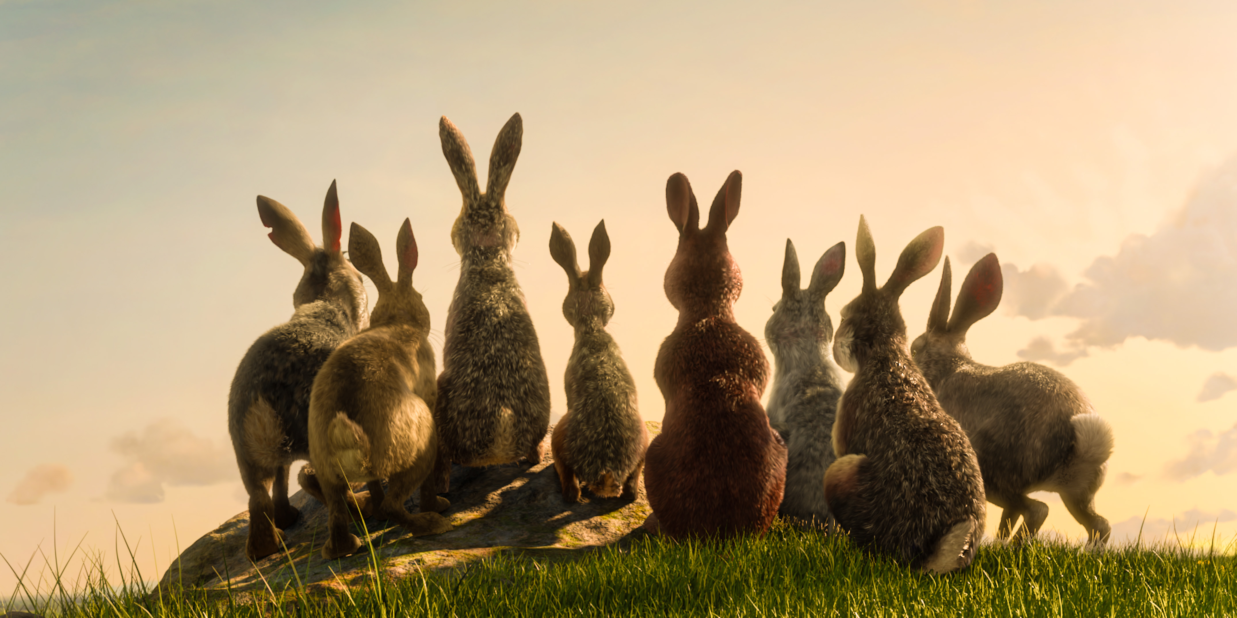 First Image Of The Cgi Remake Watership Down Have Been