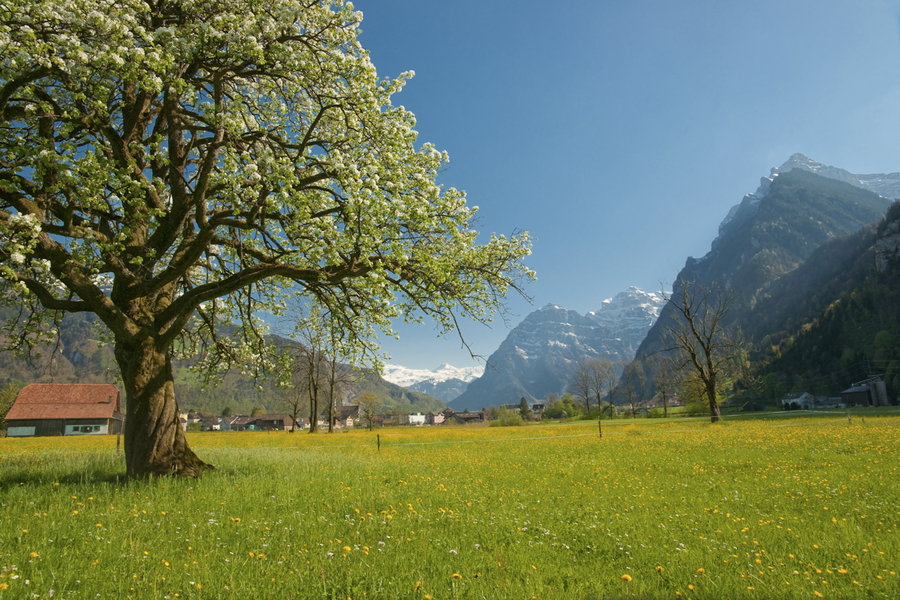 Spring in Switzerland Alps by ErwinStreit on