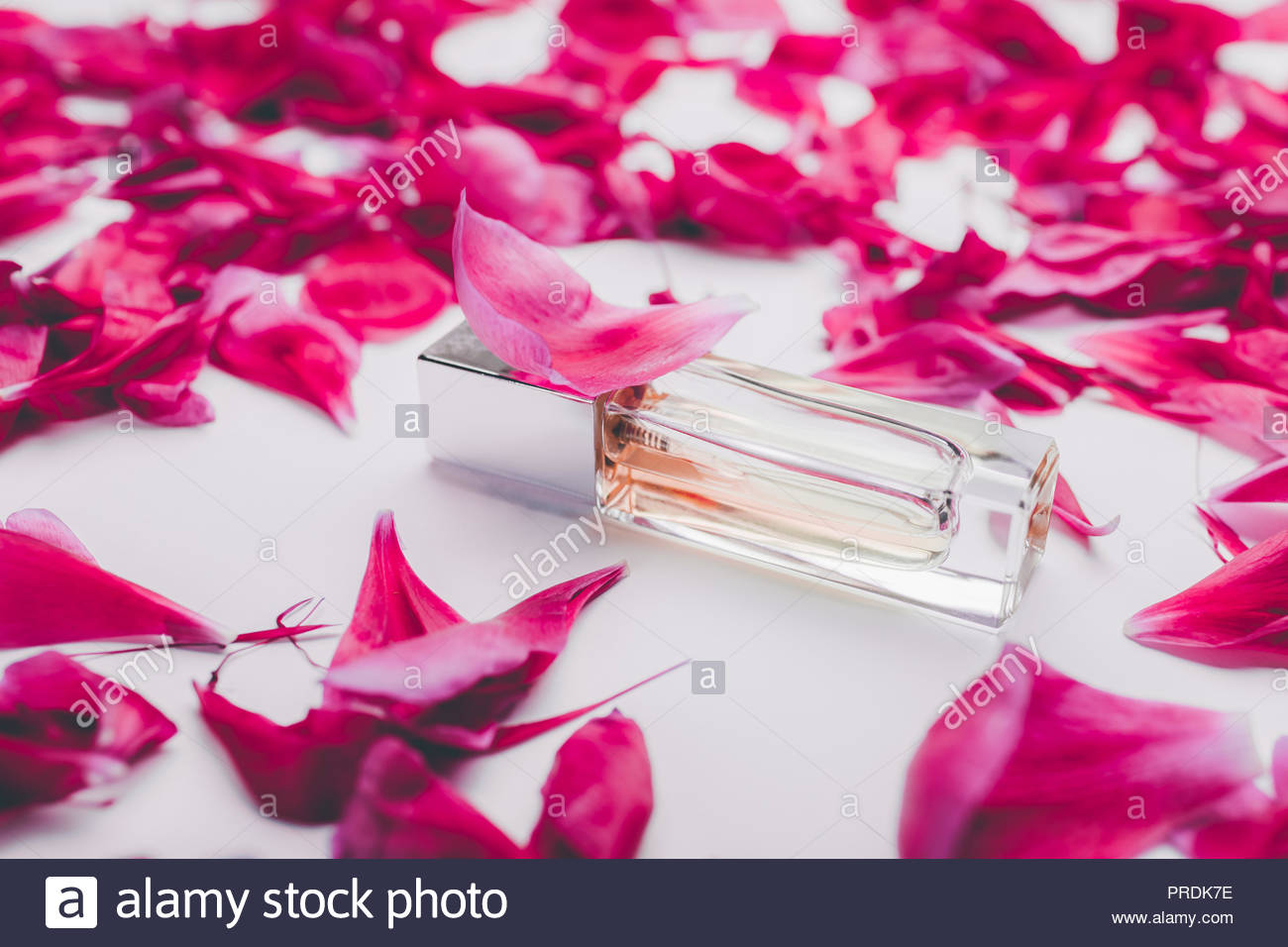 Free download Bottle of perfume with pink peony petals on white ...