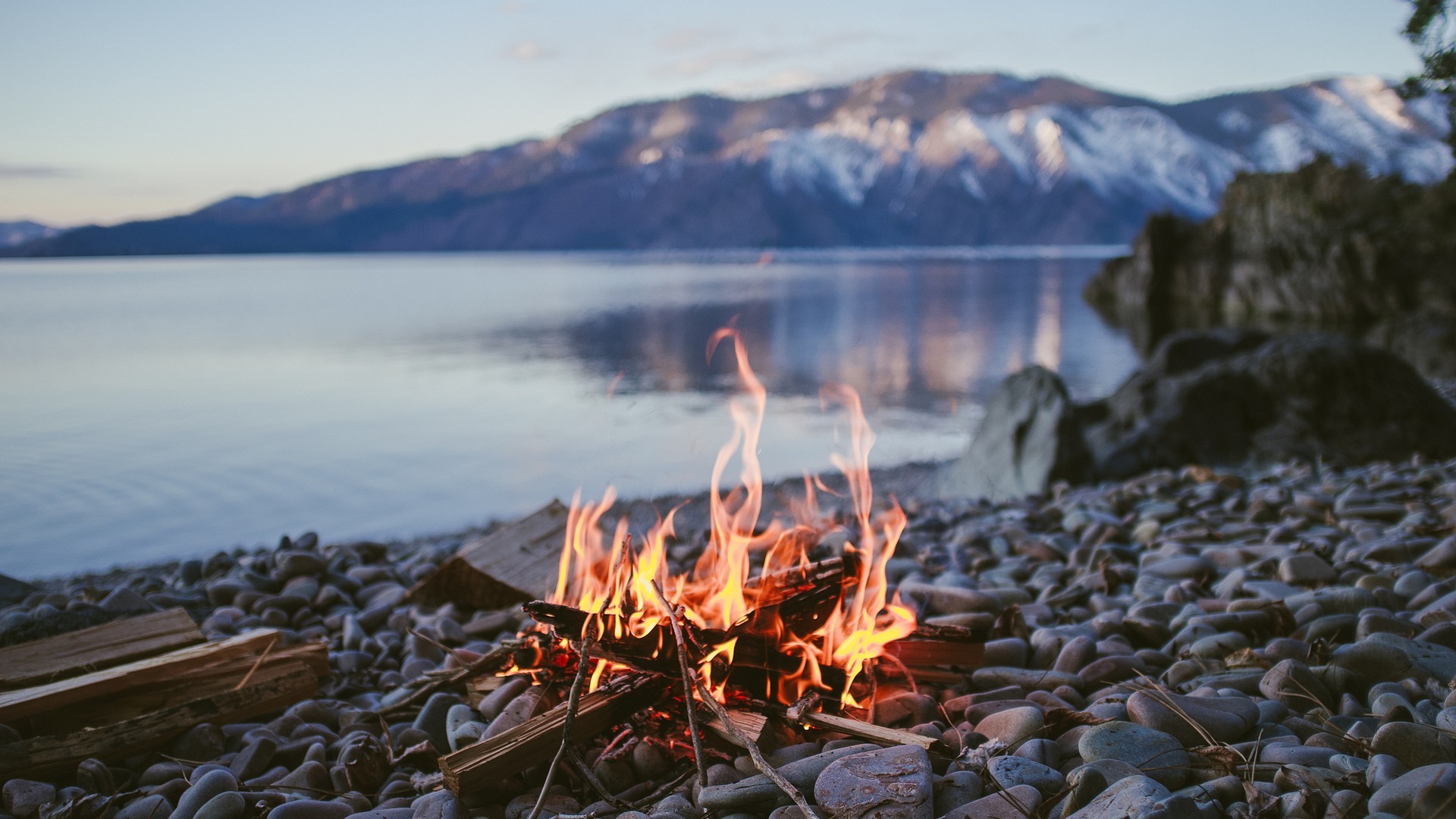 Best Campfire Wallpaper Cell Phone