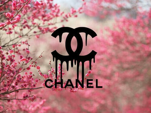 Background Brand Chanel Classy Girly Pink