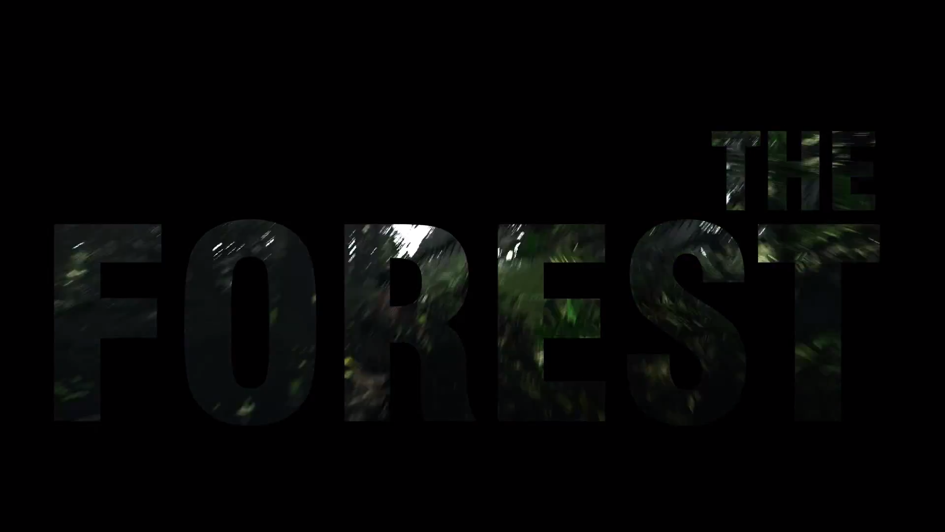 The Forest HD Wallpaper Background Image