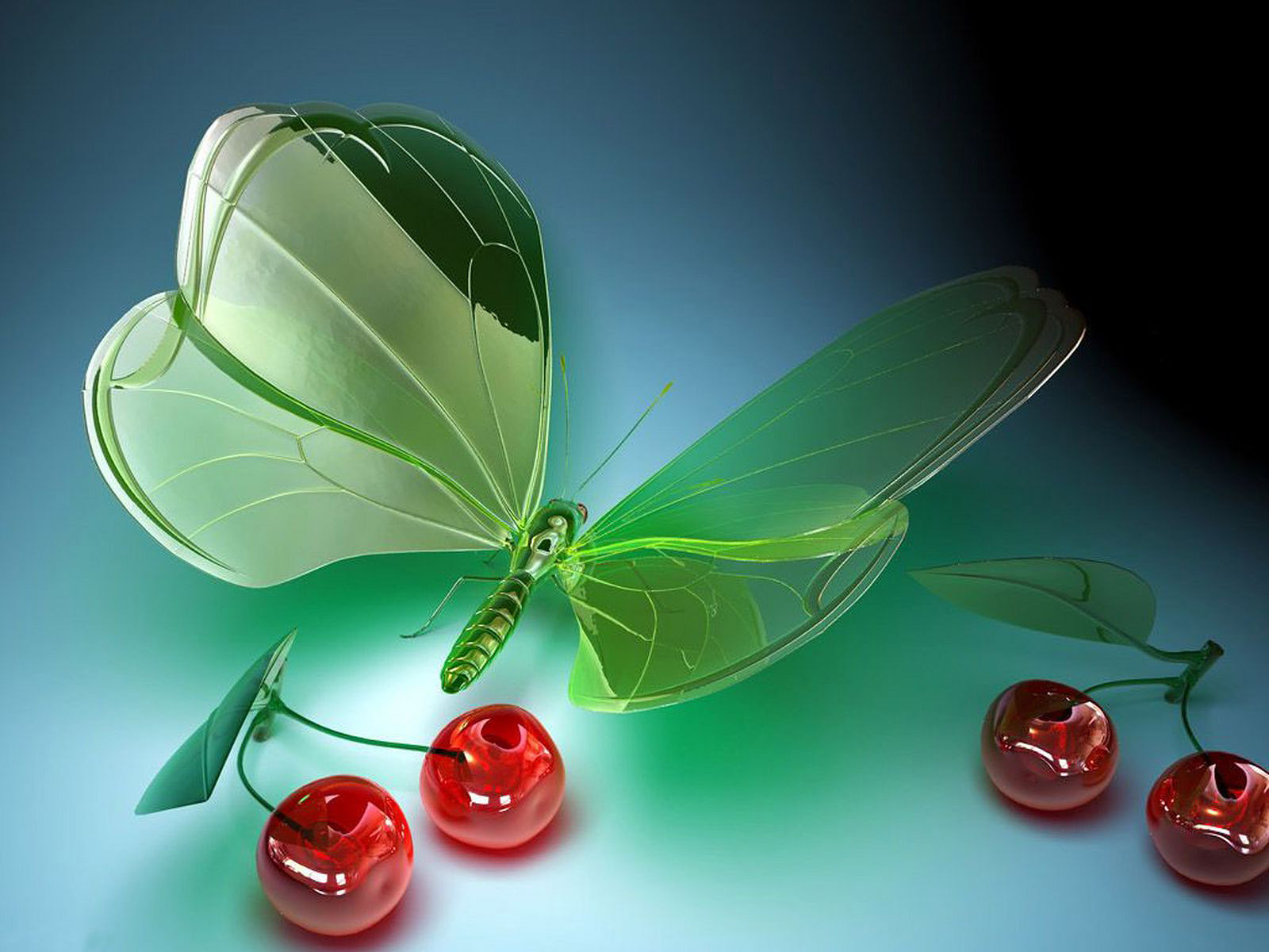 Sports Wallpaper Valentine Day Butterfly 3d
