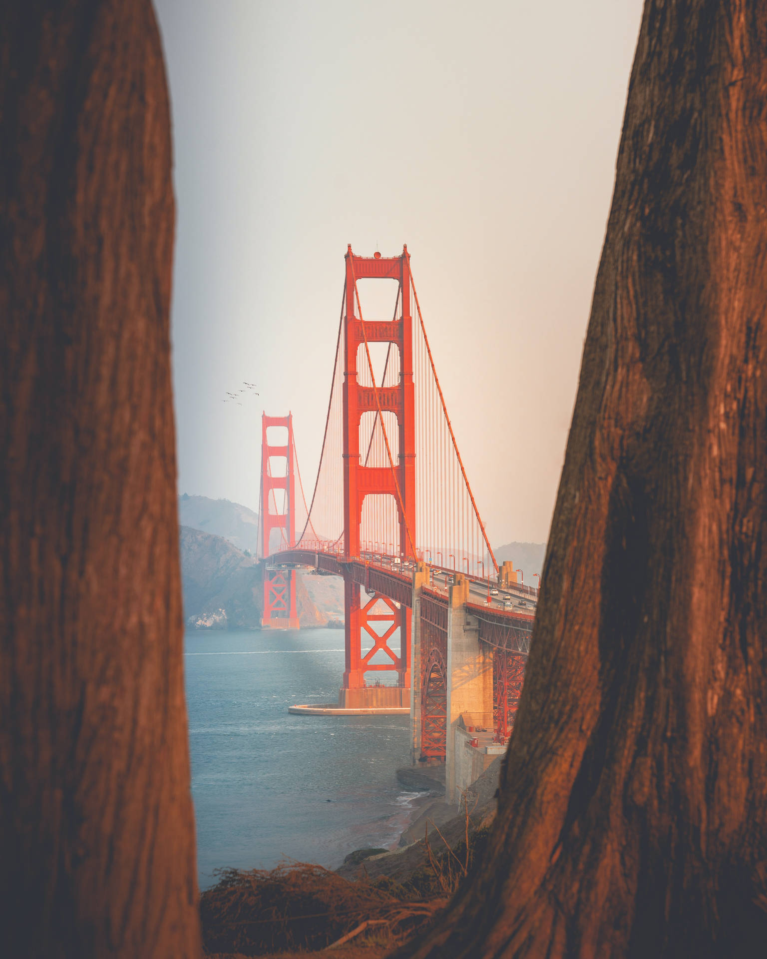 Scenery iPhone Wallpaper
