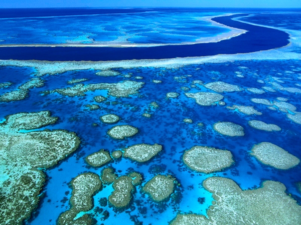 Ocean Reef Oceans Wallpaper Desktop