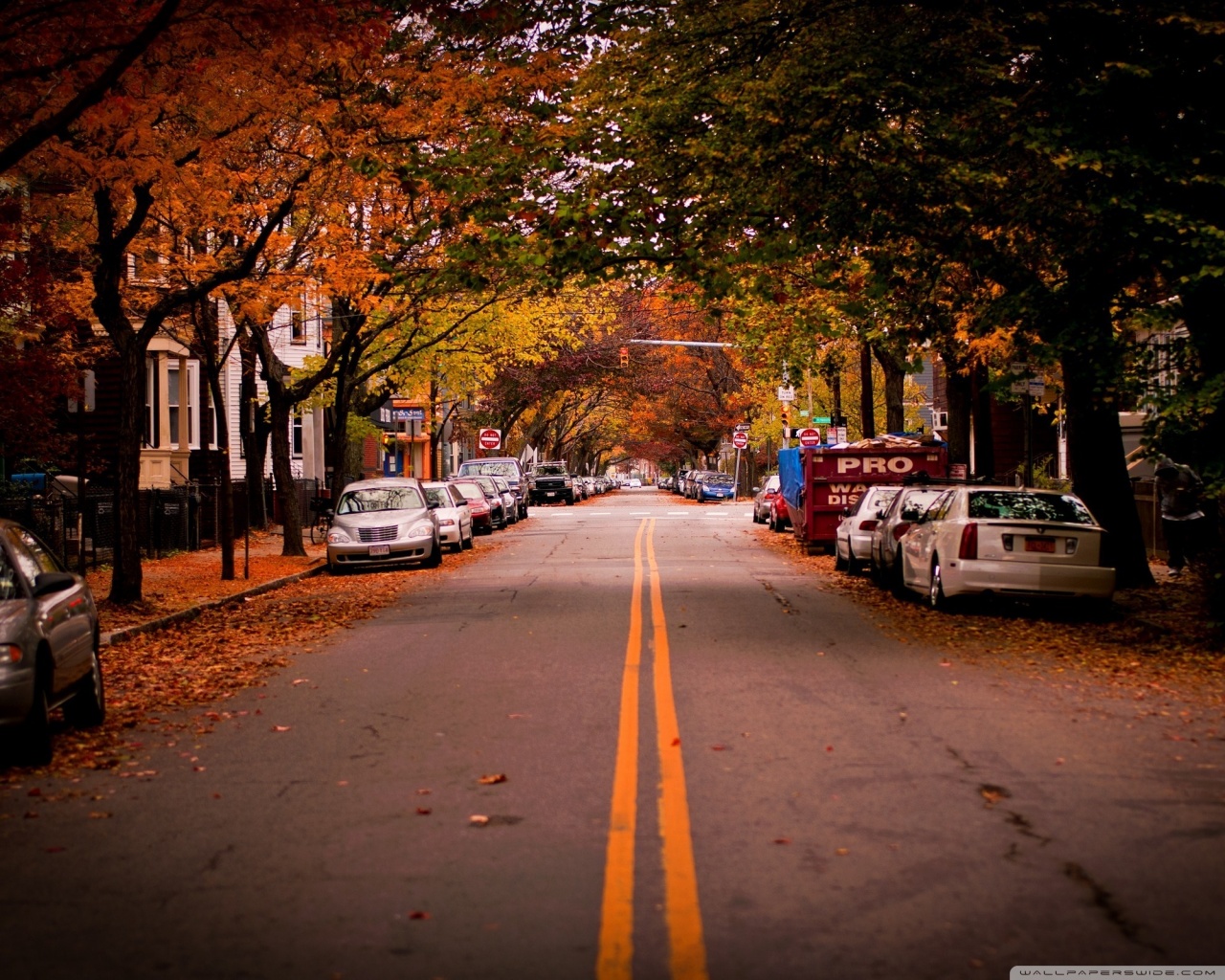 American Town Autumn 4k HD Desktop Wallpaper For Ultra