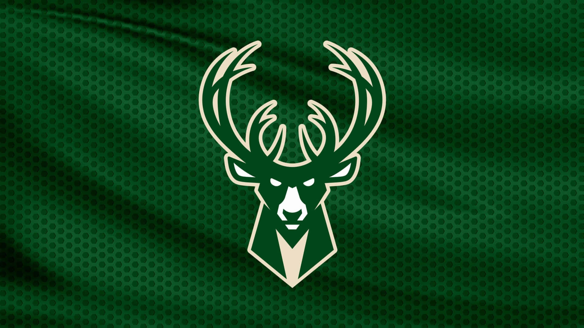 Celebrating Our Bucks Progress Wallpaper