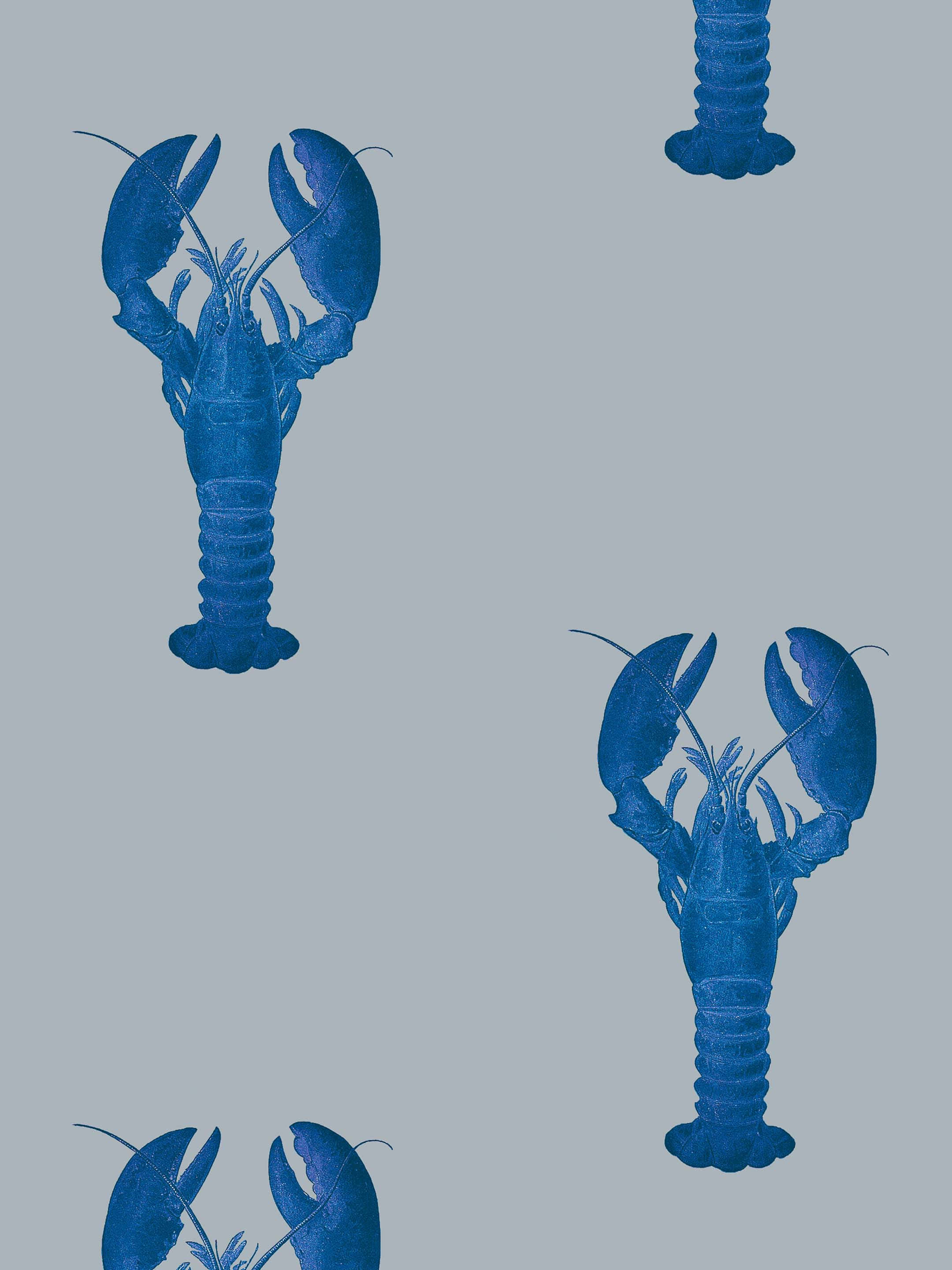Lobster Background Wallpaper