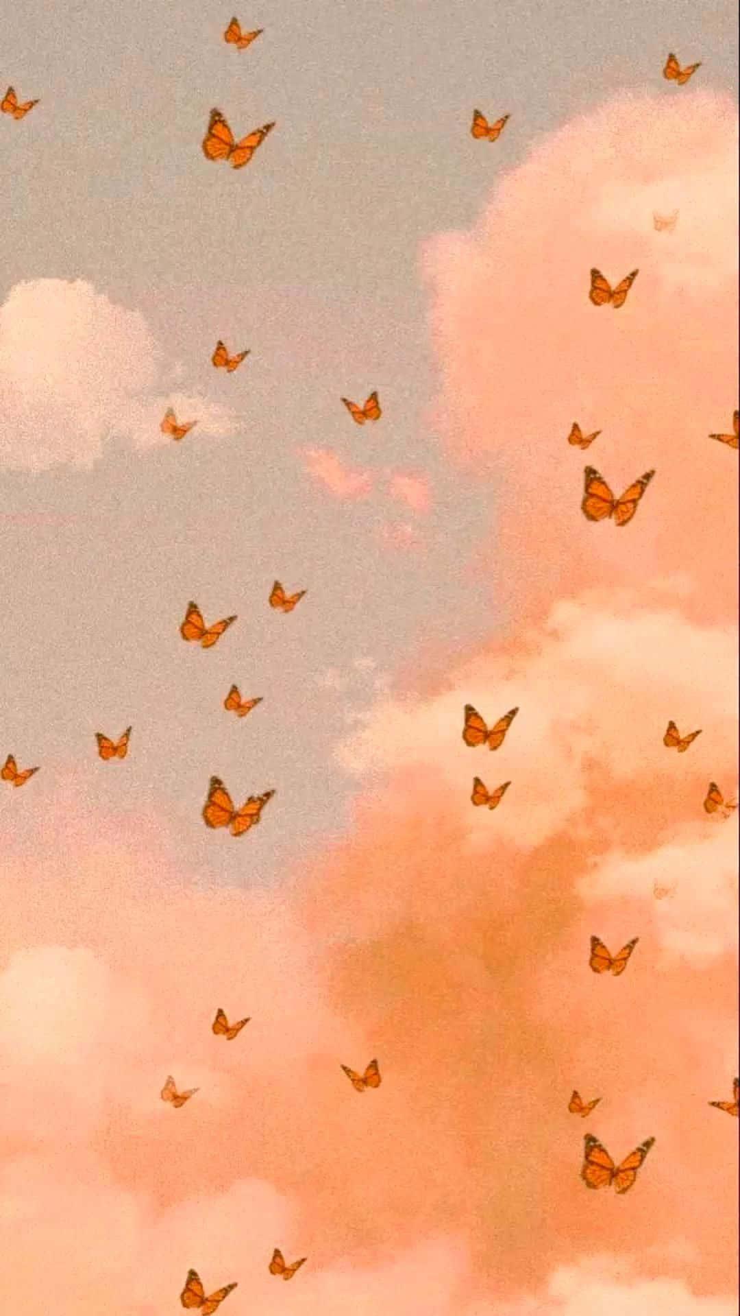 Butterflies Clouds Cute Background Wallpaper