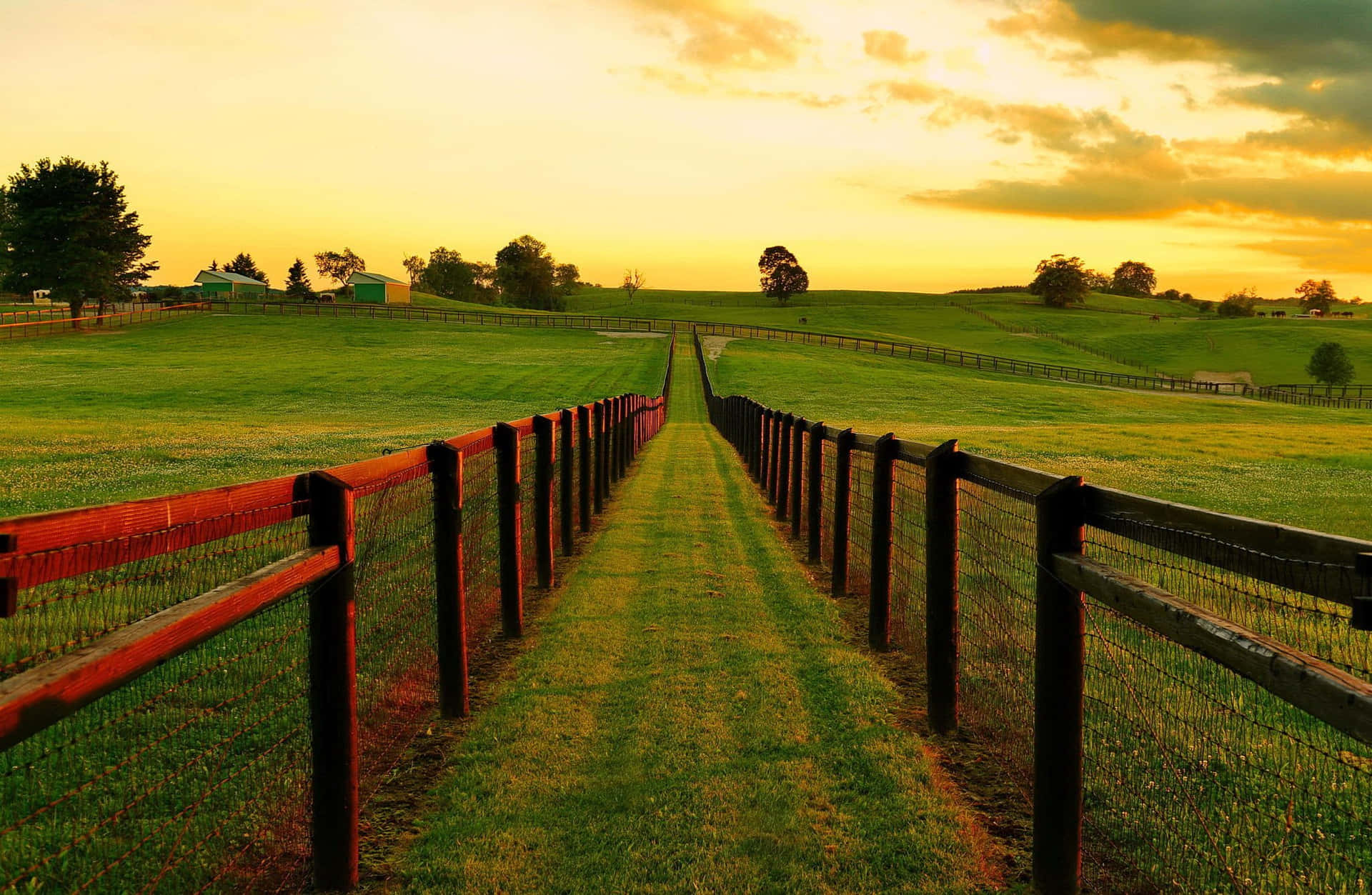 Ranch Pyyfifrzyahw948w Wallpaper