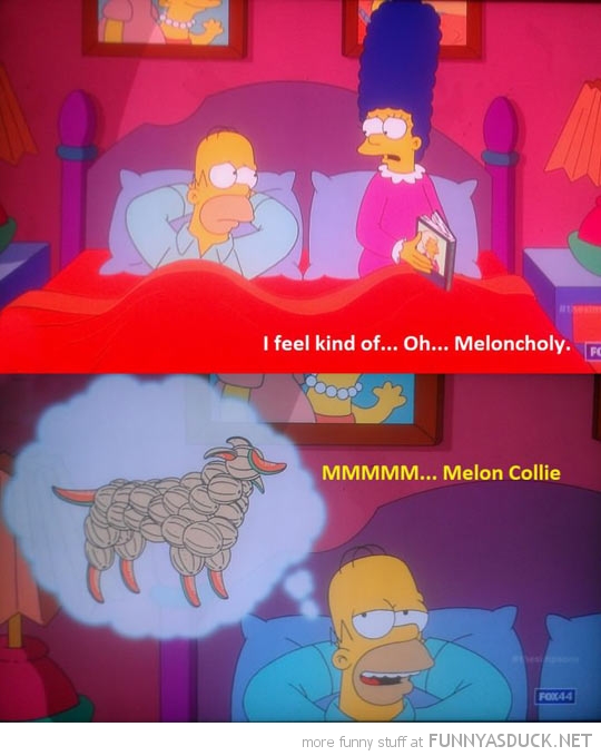 Funny Picture Homer Simpson Marge Melon Collie Wallpaper