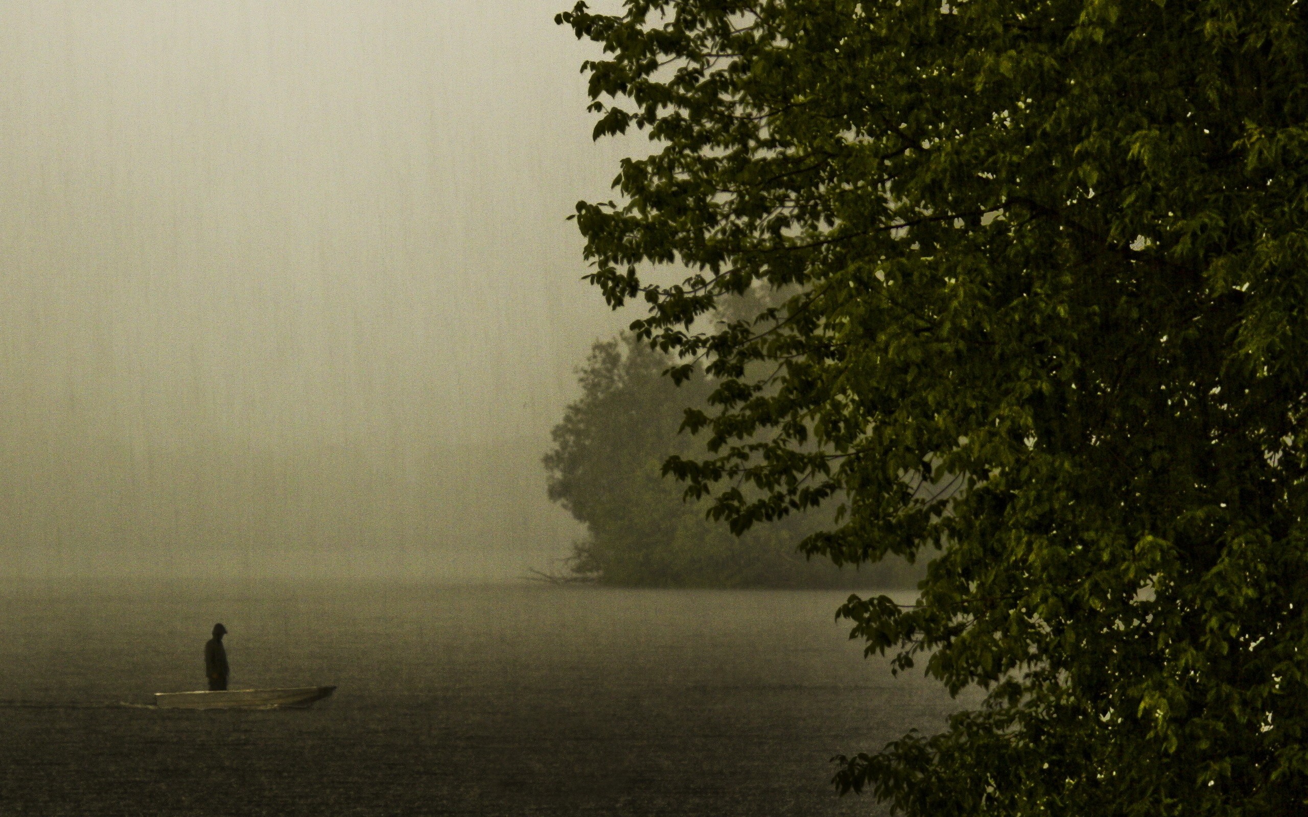 Rainy Day On The Lake Wallpaper Stock Photos