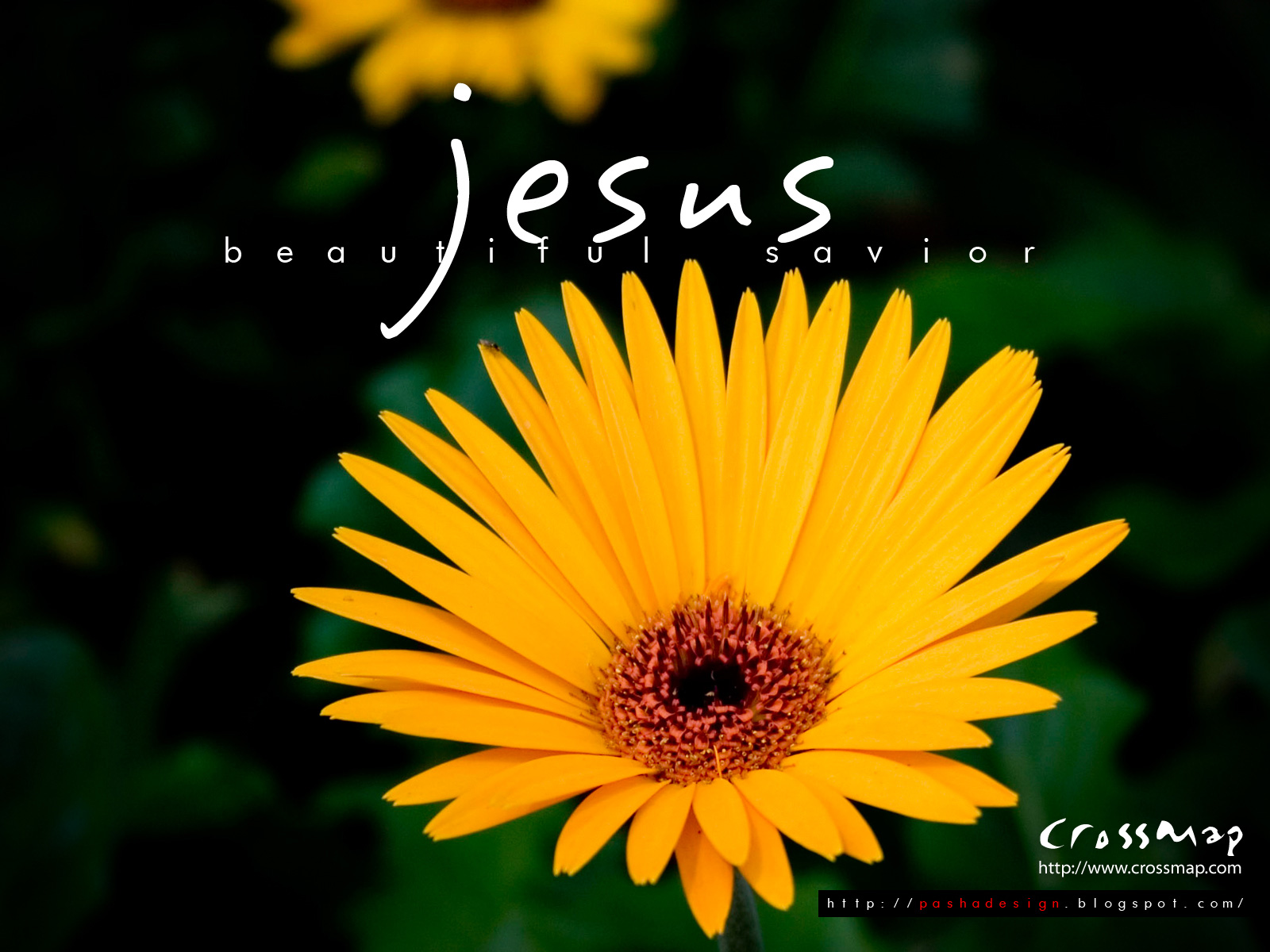 Card Wallpaper Flower HD Jesus Beautiful Name