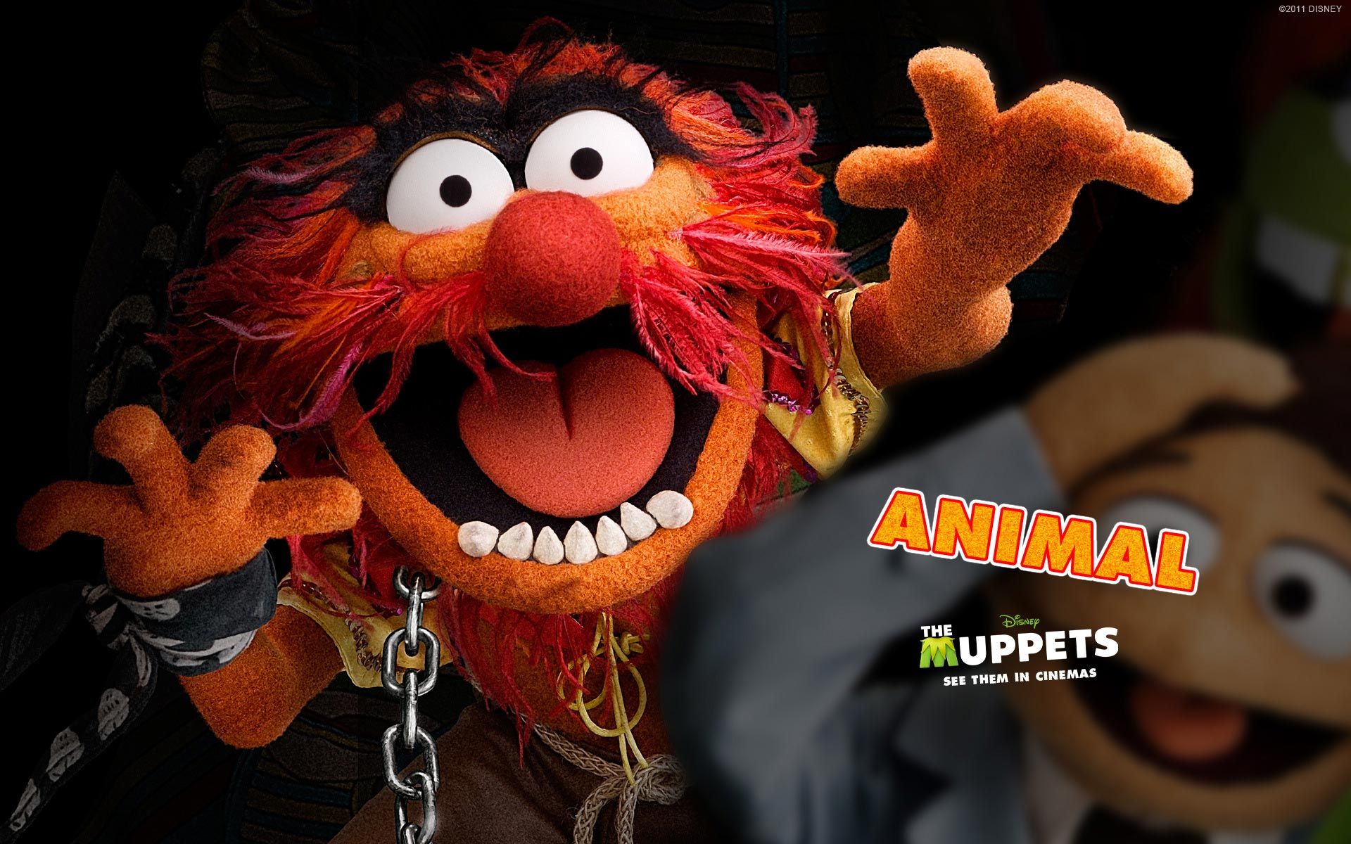 The Muppets Wallpaper Muppet Show Characters