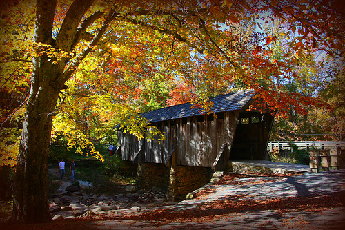 Wooden Structures And Fall Colors Pisgah Covered Bridge