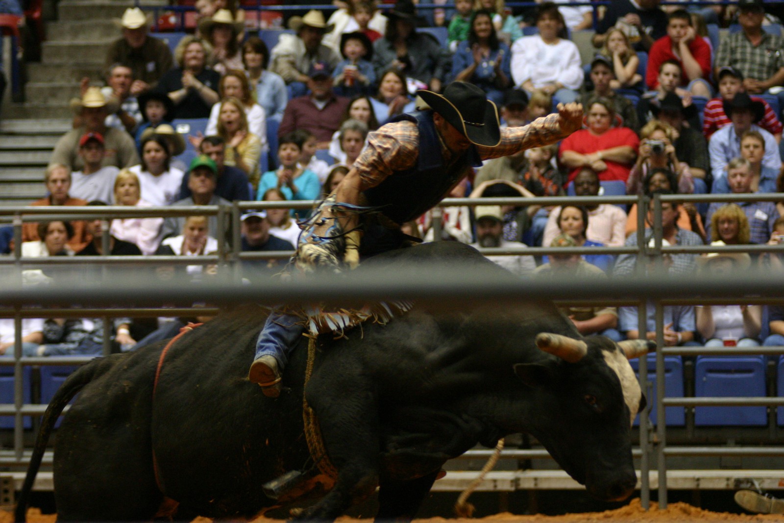 Images Of Pbr Raza Cuernos Chuecos Wallpaper Picture Pictures