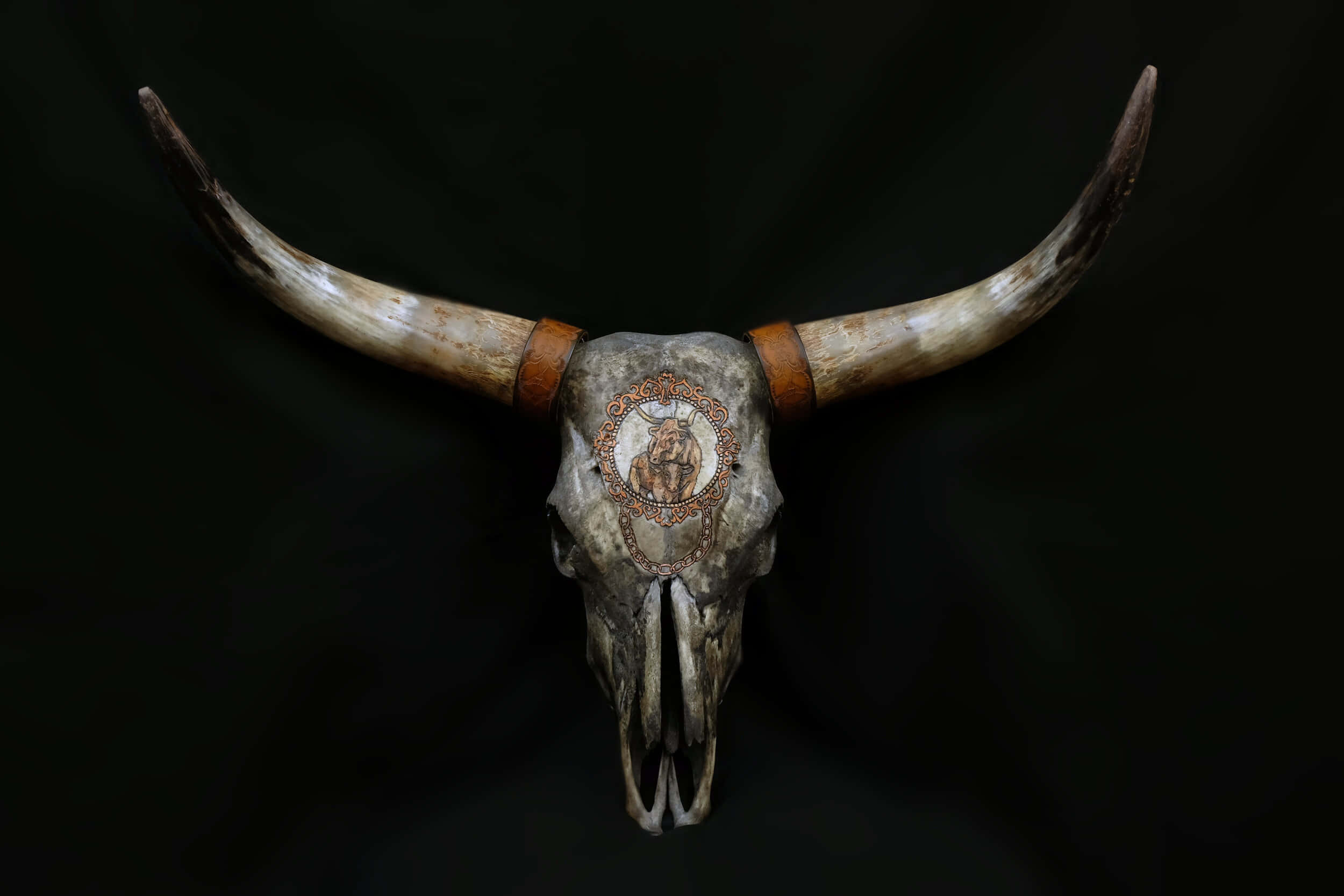 Bull Skull Will Drawing On Forehead Wallpaper