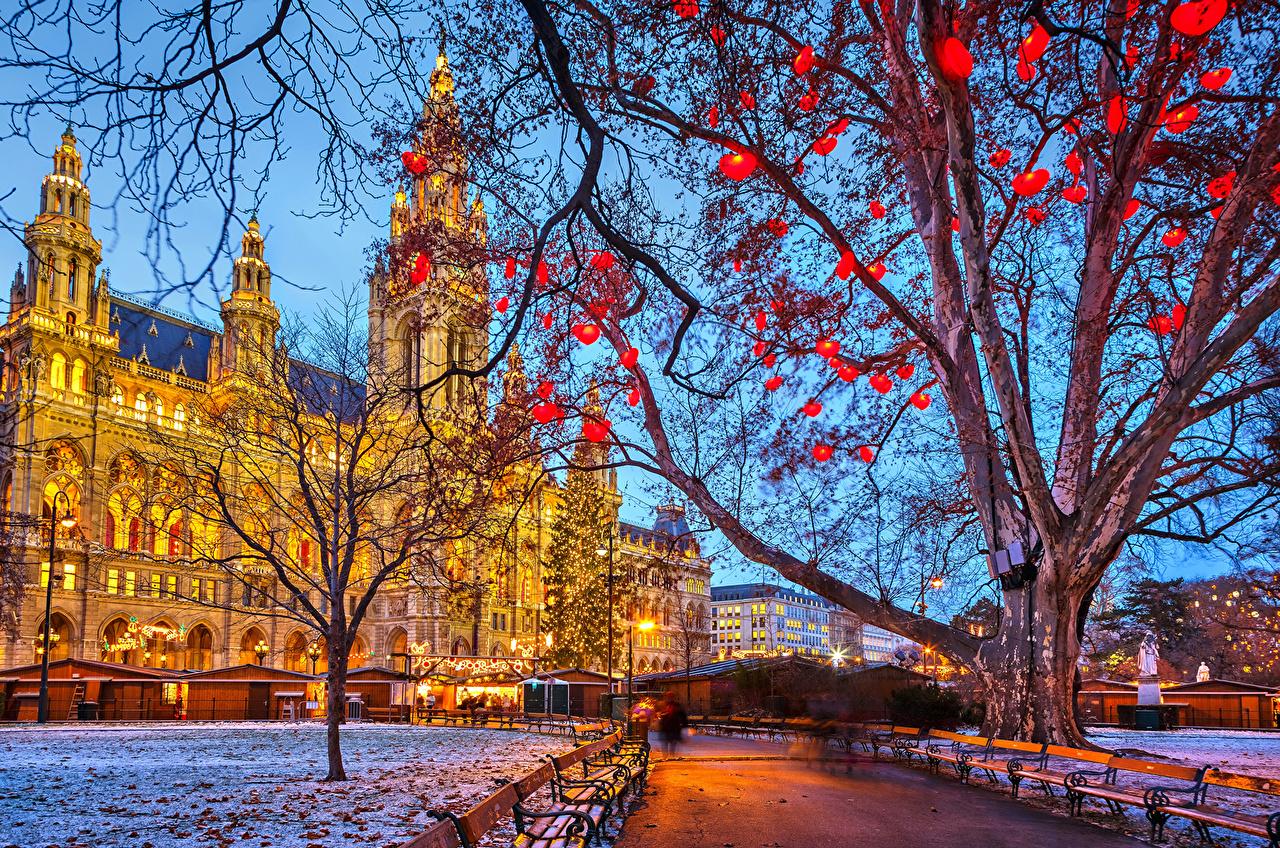 Wallpaper Vienna Austria Christmas Tower Evening Branches Trees
