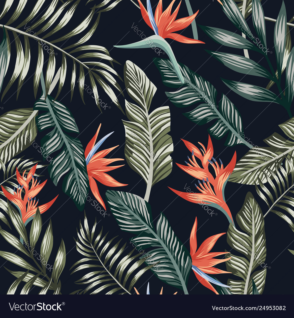 Palm Leaves Tropical Flowers Seamless Black Vector Image
