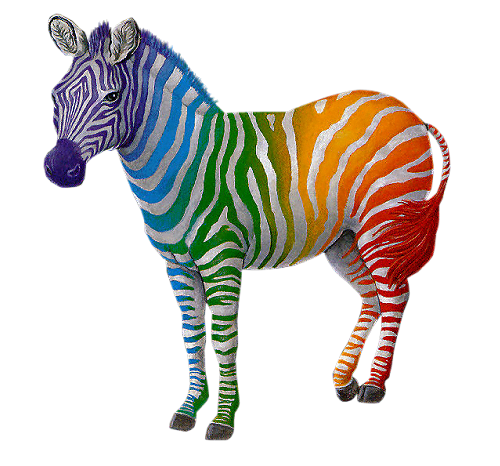 rainbow zebra webkinz
