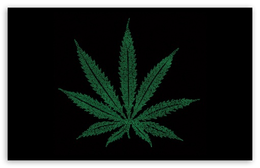 Marijuana Leaf Typography HD Wallpaper For Standard Fullscreen