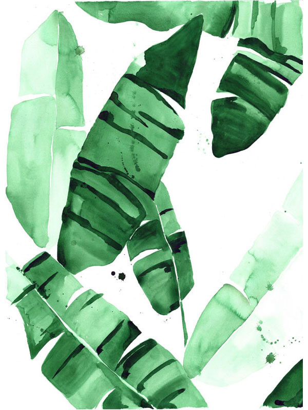 Beverly Banana Leaf Tropical Watercolor Print Green Leaves The Aestate