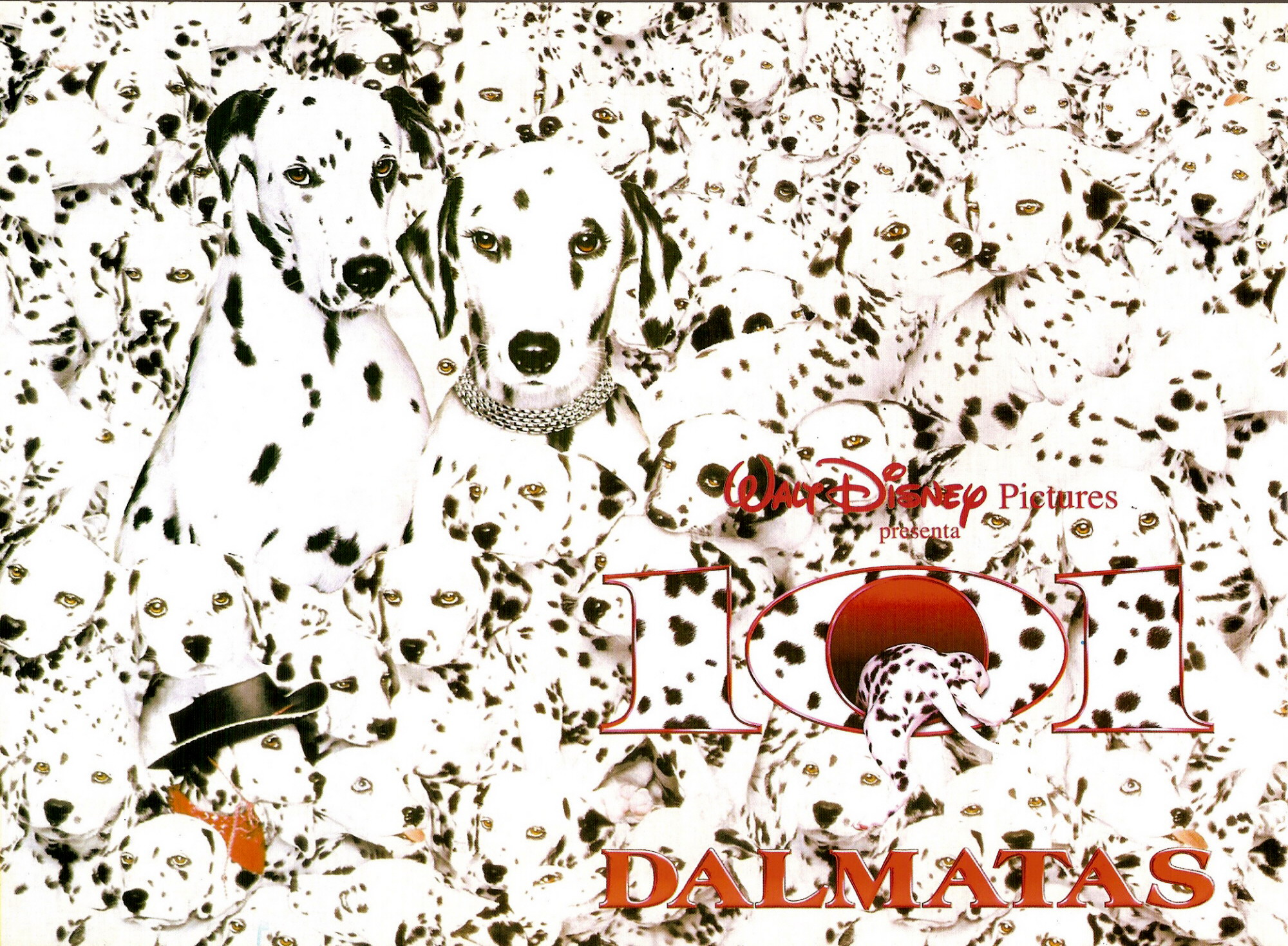 Dalmatians Posters HD Image Wallpaper For iPad Mini