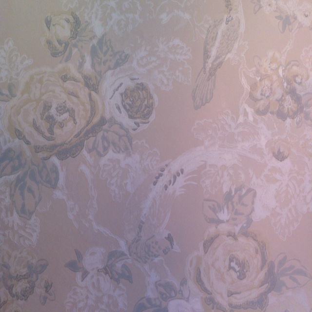 Anna French Wallpaper Bird In The Bush Off Wall