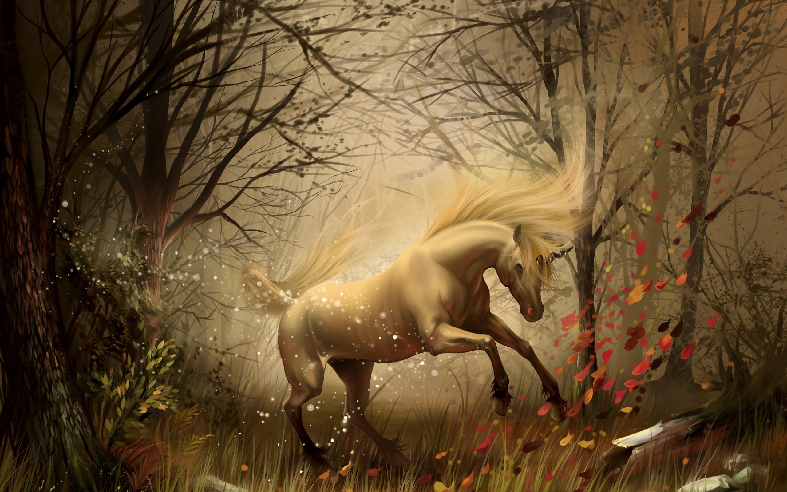 Horse Playing In The Autumn Woods Wallpaper And Image