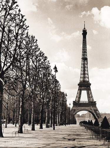 Photos Image Eiffel Tower Black And White Pictures