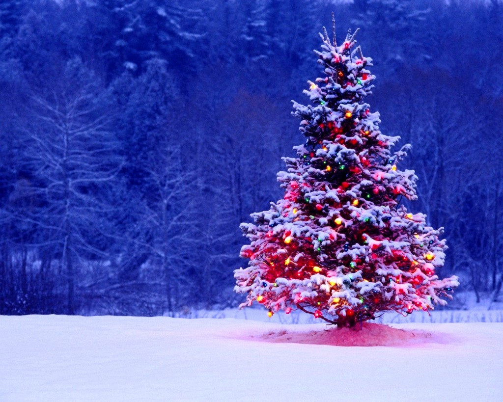 Animated Christmas Wallpaper Outdoor Tree