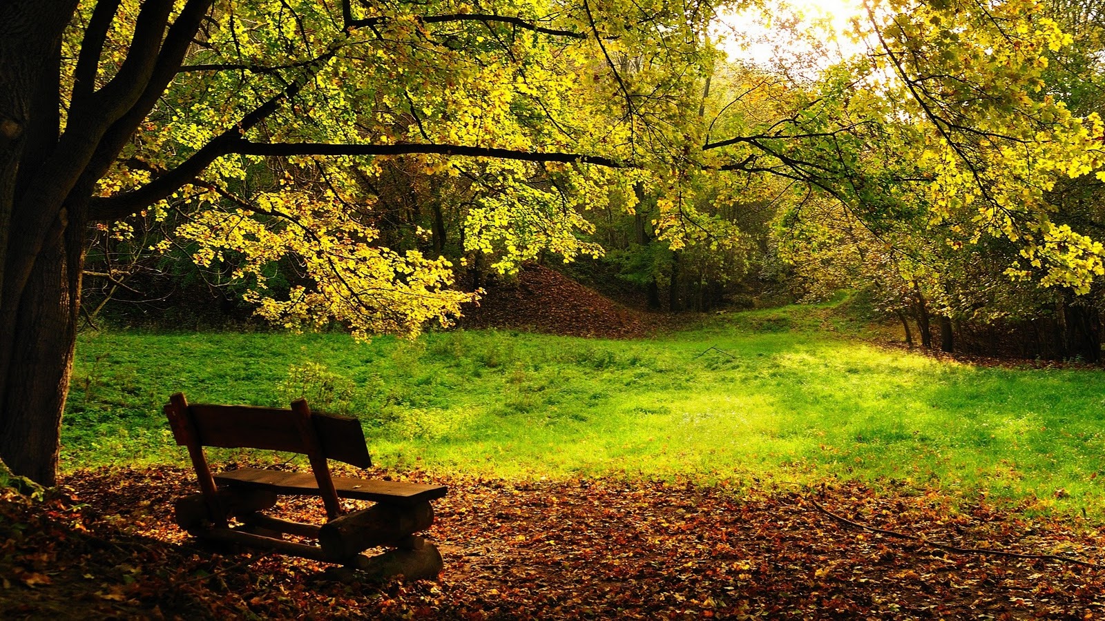 Best Desktop HD Wallpaper Autumn